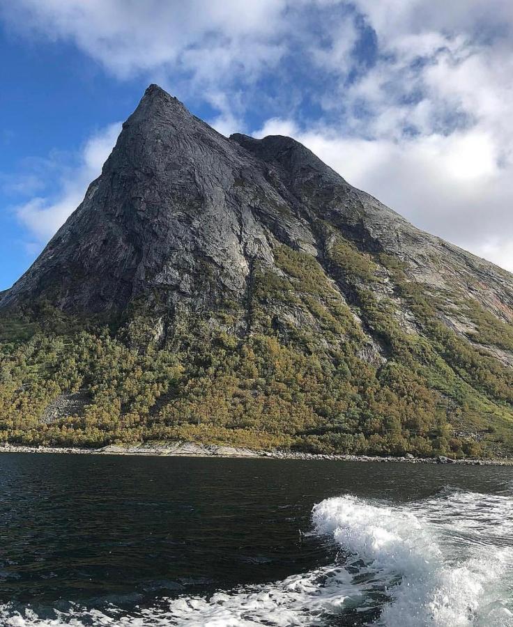 Aparthotel Senja Living Stonglandseidet Exterior foto