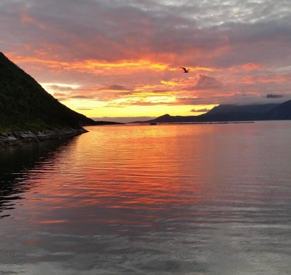 Aparthotel Senja Living Stonglandseidet Exterior foto