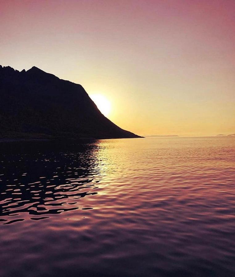 Aparthotel Senja Living Stonglandseidet Exterior foto