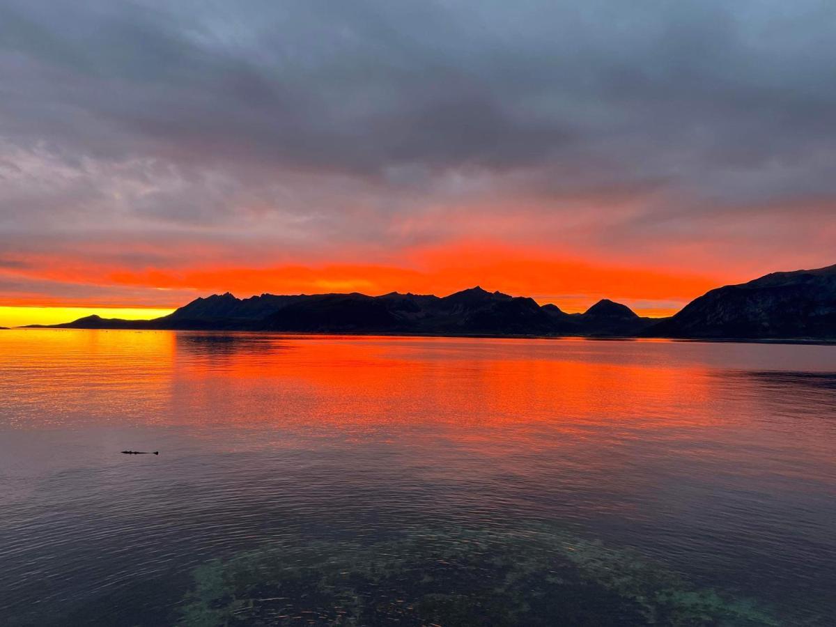 Aparthotel Senja Living Stonglandseidet Exterior foto