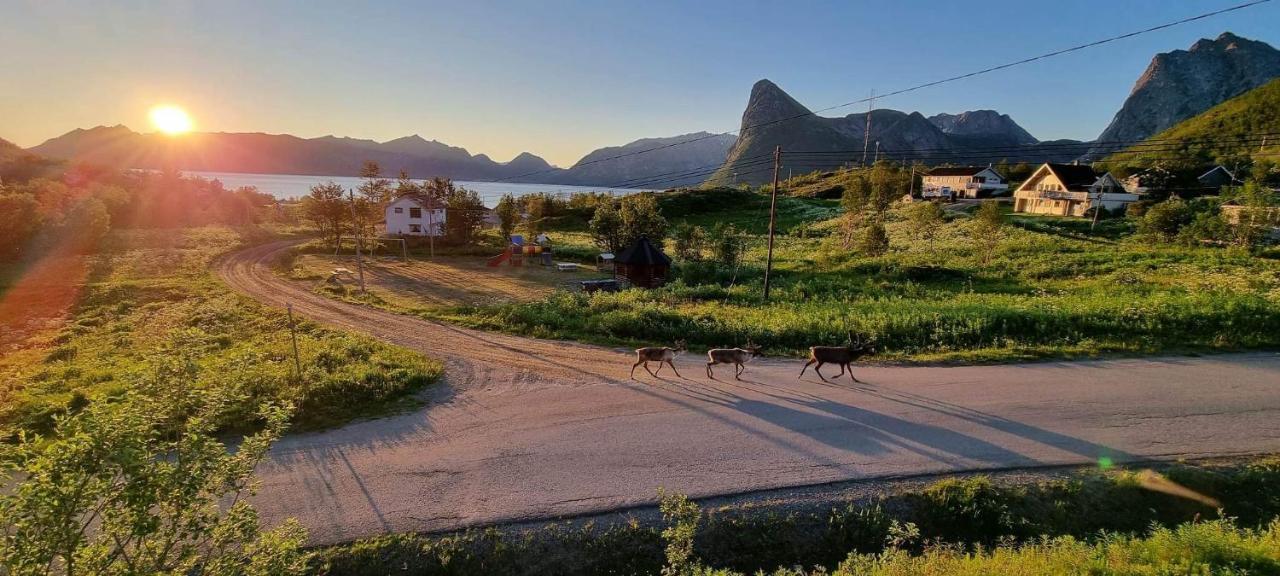 Aparthotel Senja Living Stonglandseidet Exterior foto